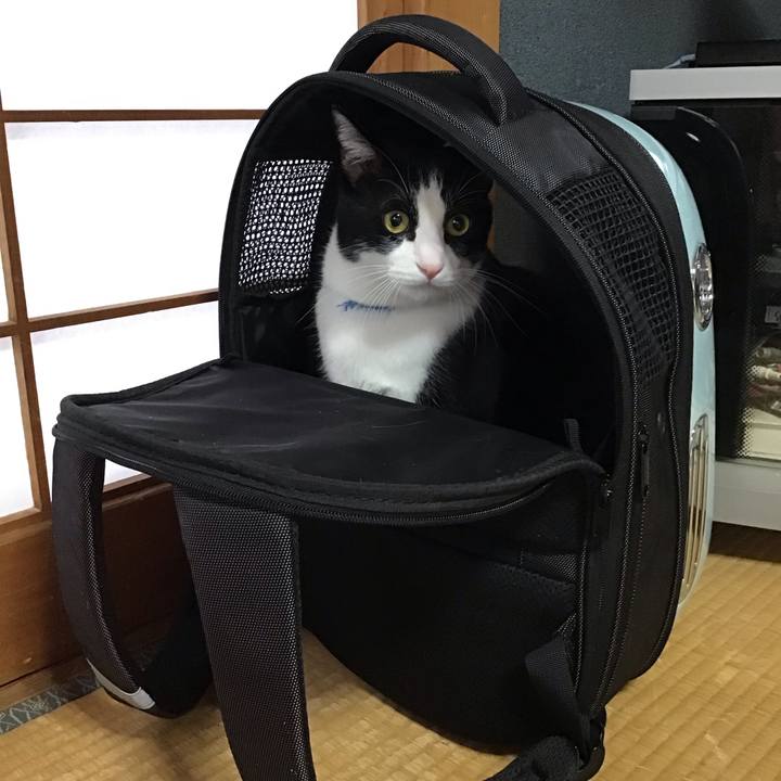 75be87e7 6af7 4163 94b1 5e3fd9fd1385 1700875166569