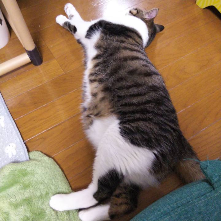 75bec969 1b6c 4ee9 a0f0 d1faa33fddeb 1650888085039