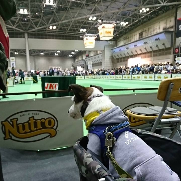 75bed2e2 74cd 477a a7a2 7f3c17251913 1522543471384