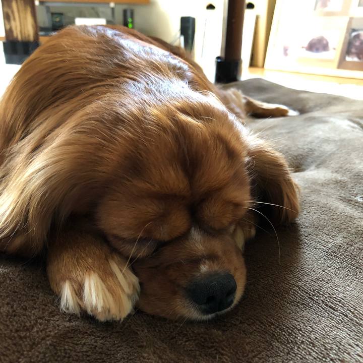 75bed9e1 ca00 4d91 8c90 b8e9f85ac52c 1556972590072