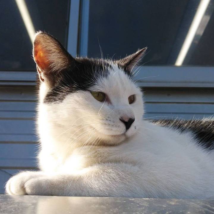 75bee663 f5f5 4af0 8f98 8a6c35c69dfc 1612241622270