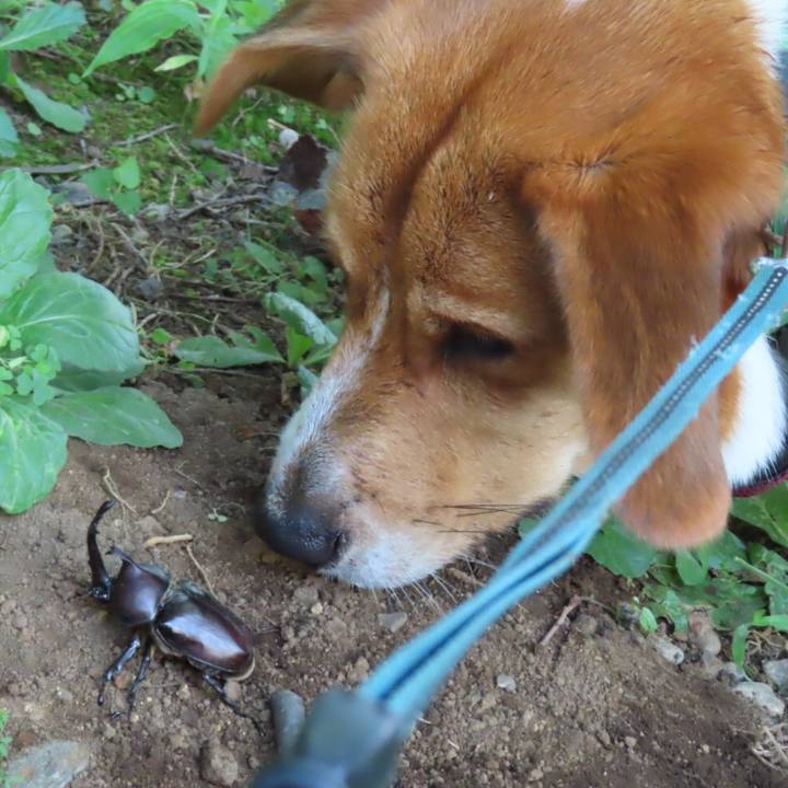 75befe3b 3bdf 474d b1d8 1d049de248e7 1626827291892