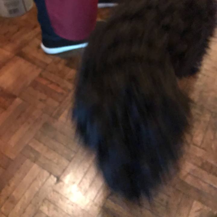 75bf0b30 1b9d 4963 9958 e7e9b877380b 1516249605354