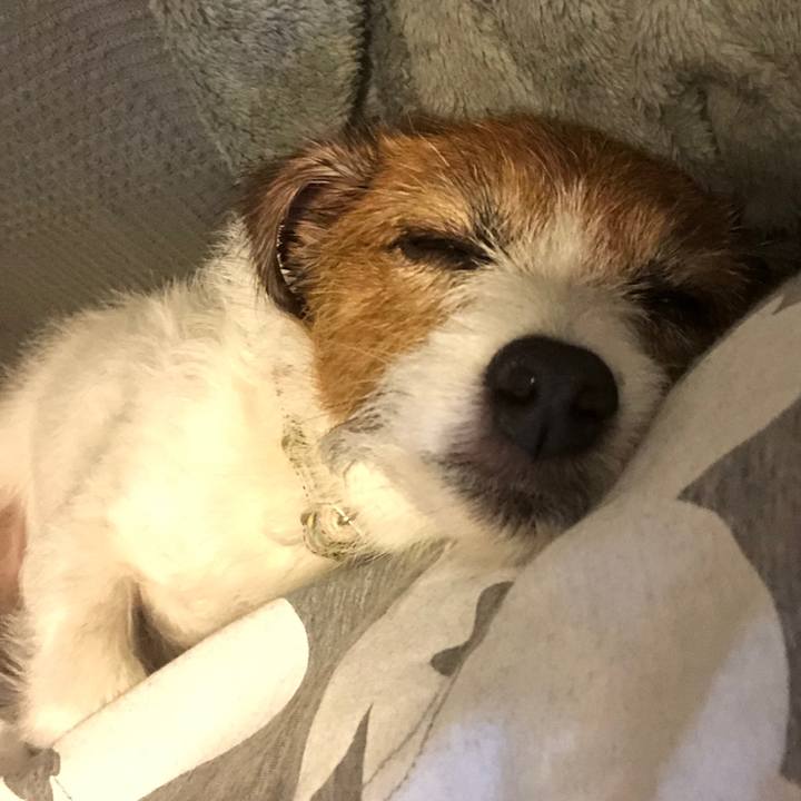 75bf6771 5d0b 49de 8277 8d8896f55dc0 1596370806681