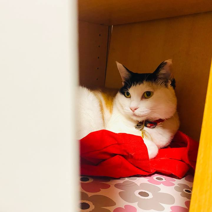 75bf812a 3598 427d 8bb3 2b3a654fd8f3 1716470968084