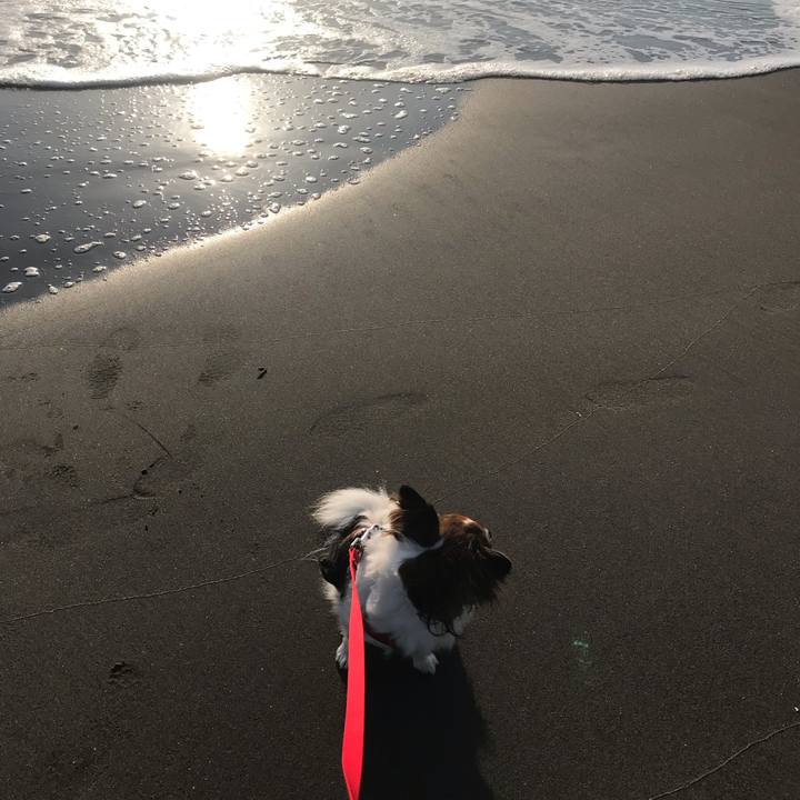 75bf8859 4b6d 4d07 8bb6 c9077d2ad8e8 1558841244893