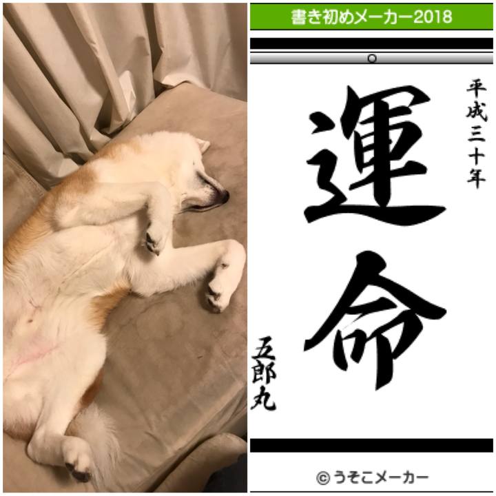 75bfe335 5088 438a 91c5 d2b131dfc4a8 1514977985745