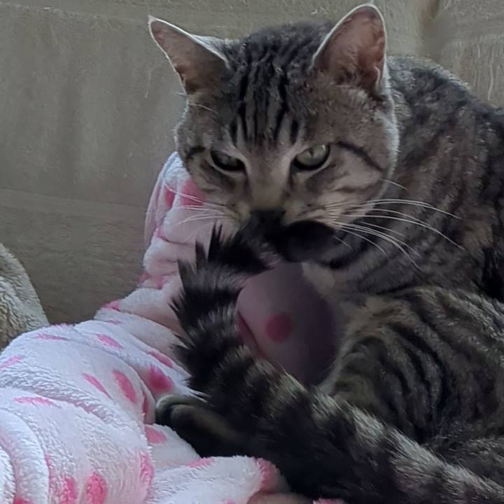 75c02bd0 92d6 4643 9d43 712f481b4315 1739857110134