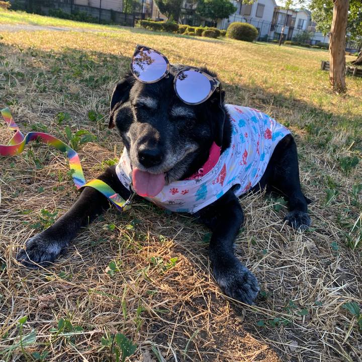 75c03a71 ac9b 4631 a5e1 347a7c499ccc 1690357220588