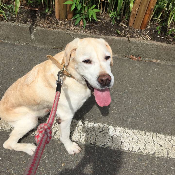 75c04622 019a 4d2d b47e 6d867d727c32 1535859893808