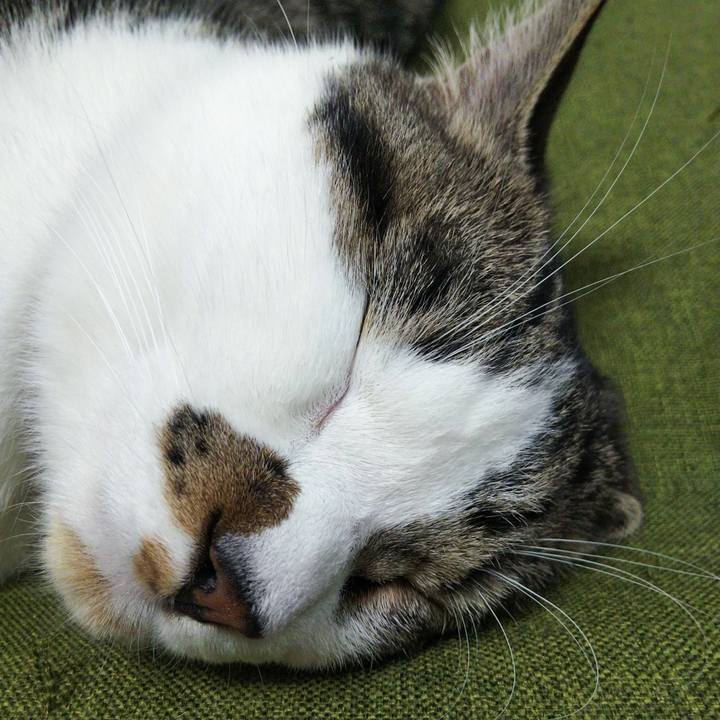 75c05fd6 fac6 41ad 9df4 e28bedbf1a9f 1623072180581