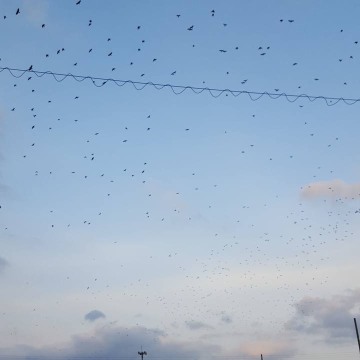 75c0974c 9b7e 43ab a57a 035a66d68c18 1516269374917