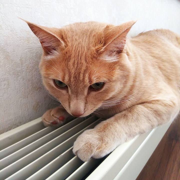 75c09fcc 8085 4b63 8ebf 006f540514a4 1616291022109