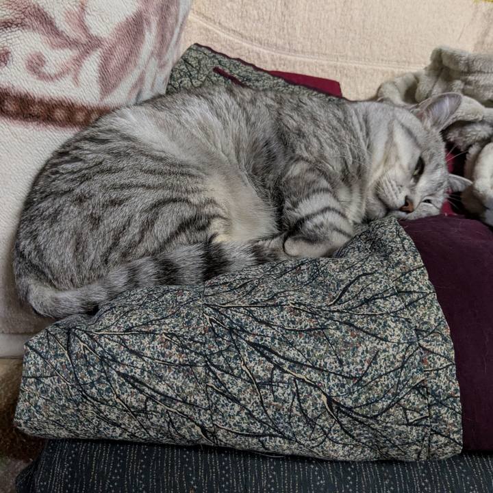 75c0a4e6 26a9 4b07 bbb6 ba1f4b1d3dbf 1742298834538