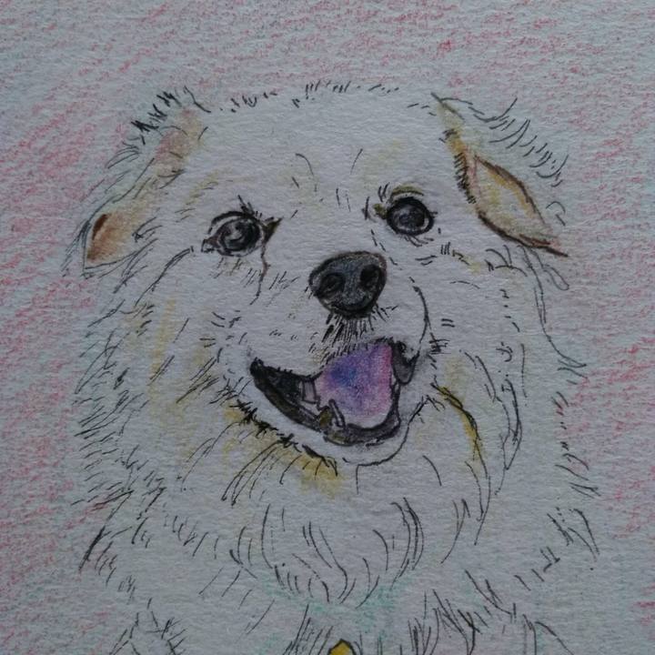 75c0bfd2 fd79 4717 aac1 39330e32889a 1531751892476