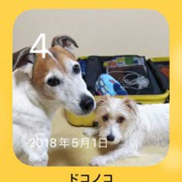 75c0ccbf 6092 4691 89ea 70fe828e7b6e 1651627009823