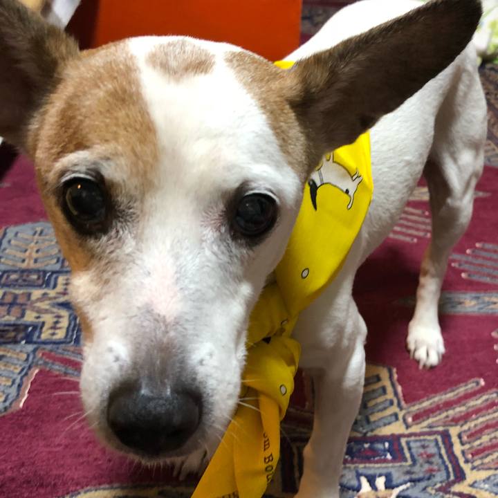 75c12af8 6fec 4f6c b25c 99bd27b2db41 1534829139512