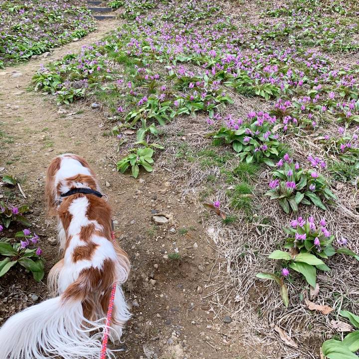 75c14220 b5c5 4788 8240 1bd90a4135eb 1586328007482