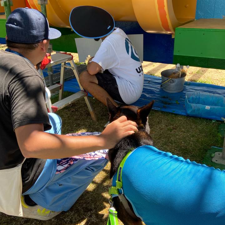 75c181c5 c02f 4fc3 8389 0b48749544f7 1597466193089