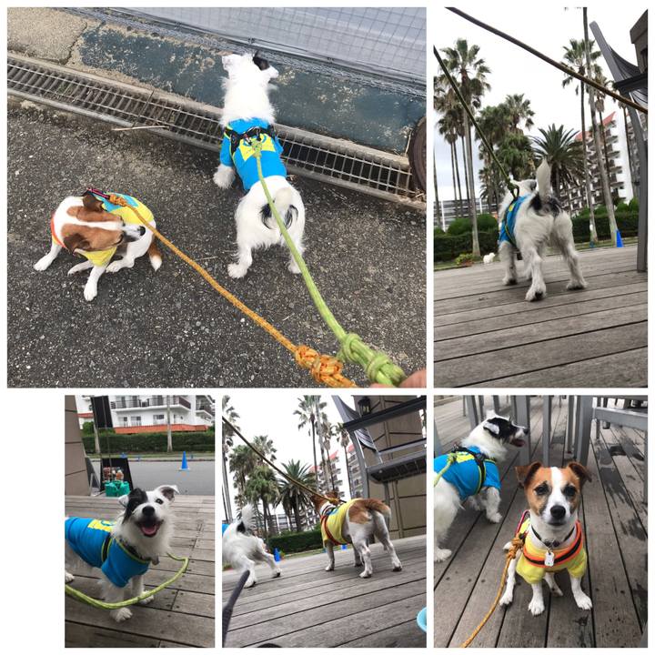 75c1ba3a 29e5 4877 89f6 81f2e878f96f 1537584159705