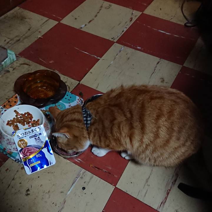 75c1e92e 75e0 487b b50a e9a2a54fb577 1574157218204