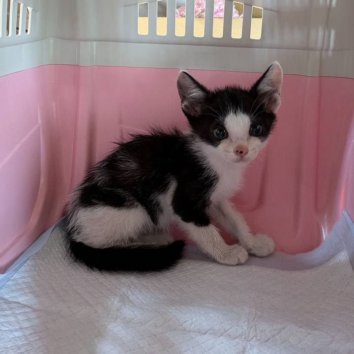 75c1f54b bec3 4b0d 835c 8256db90ca48 1752681814582