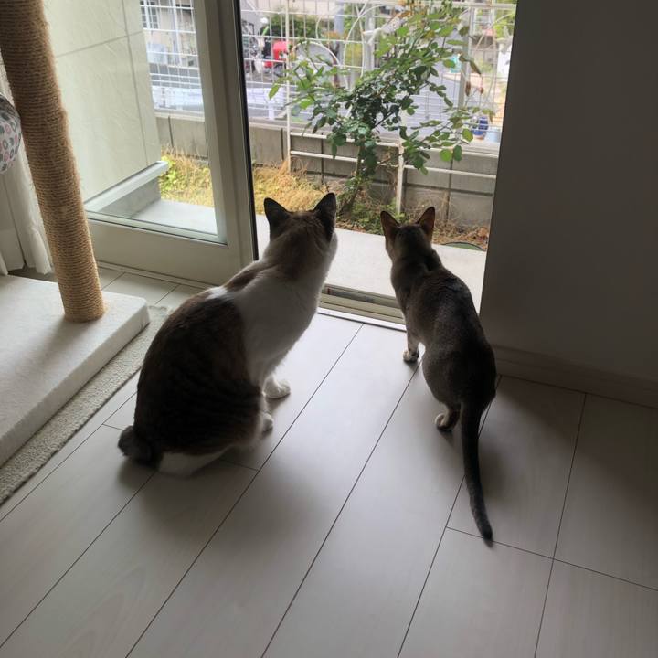 75c1fb5d a587 493f a163 38bc4c26486f 1556894598708