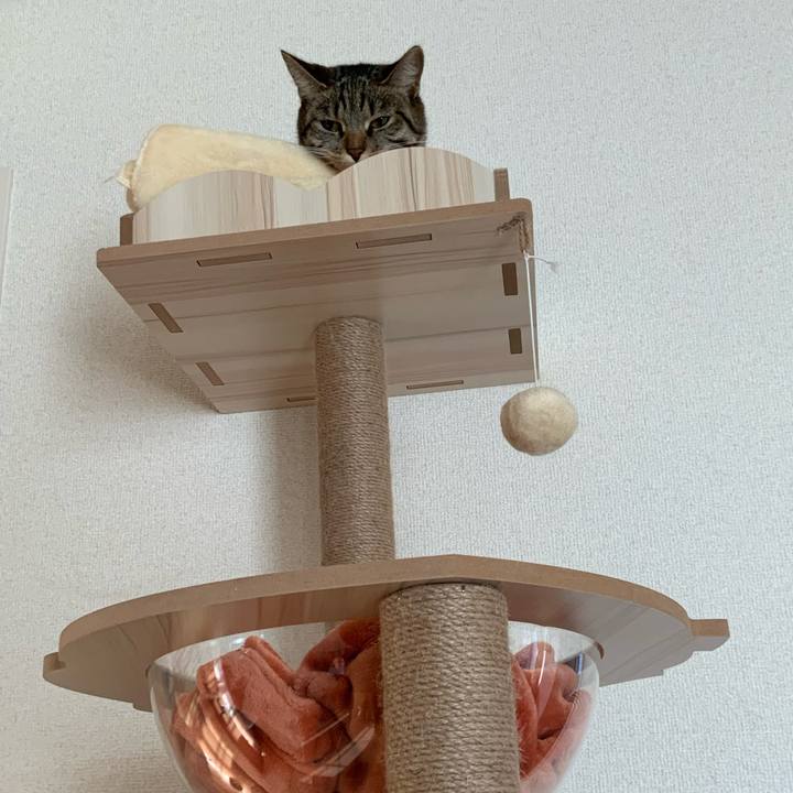 75c2011a a729 4730 a5a7 f25c773dd371 1673478153079