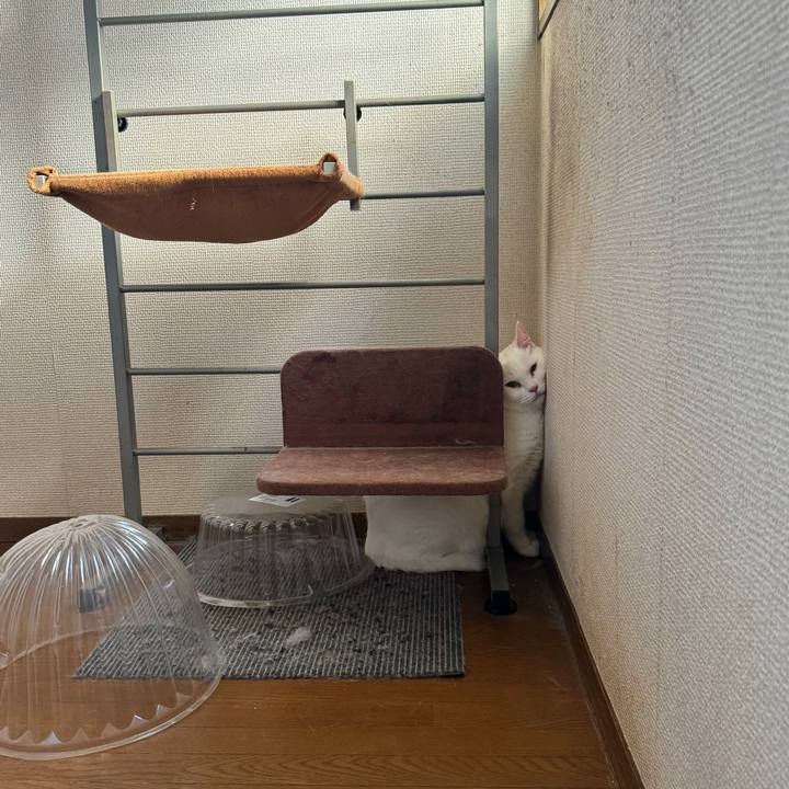 75c20b08 54ac 4b6c bfd1 5ae653a37314 1757116123438