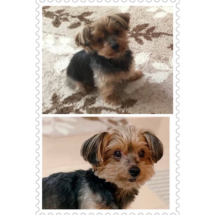 75c20c91 a480 4305 a51c 612199581051 1604994953400