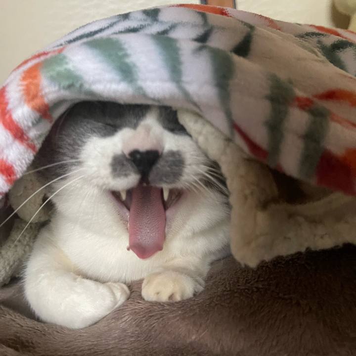 75c25bb6 6d9d 45d0 a57b 45d60cf40222 1735428488592