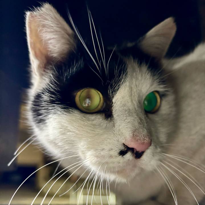 75c28548 e3ac 4a0f ba78 f3f52a387867 1774418841960