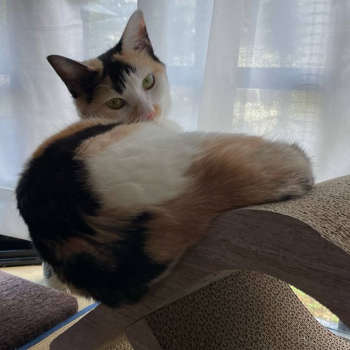 75c286d9 e0a4 4b49 a5a9 4d4186ce2765 1692600809060