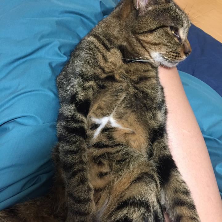 75c29810 8f97 4650 9e45 7c7b3f6b76d5 1519391850560