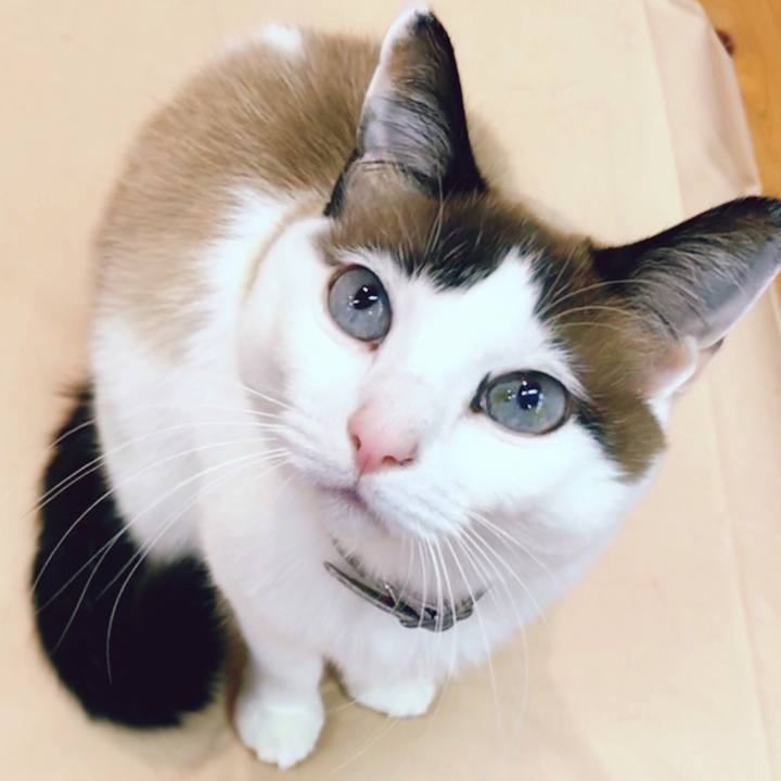 75c29f4b 86d1 4bb4 9b45 e1938fc87c4a 1521366627424