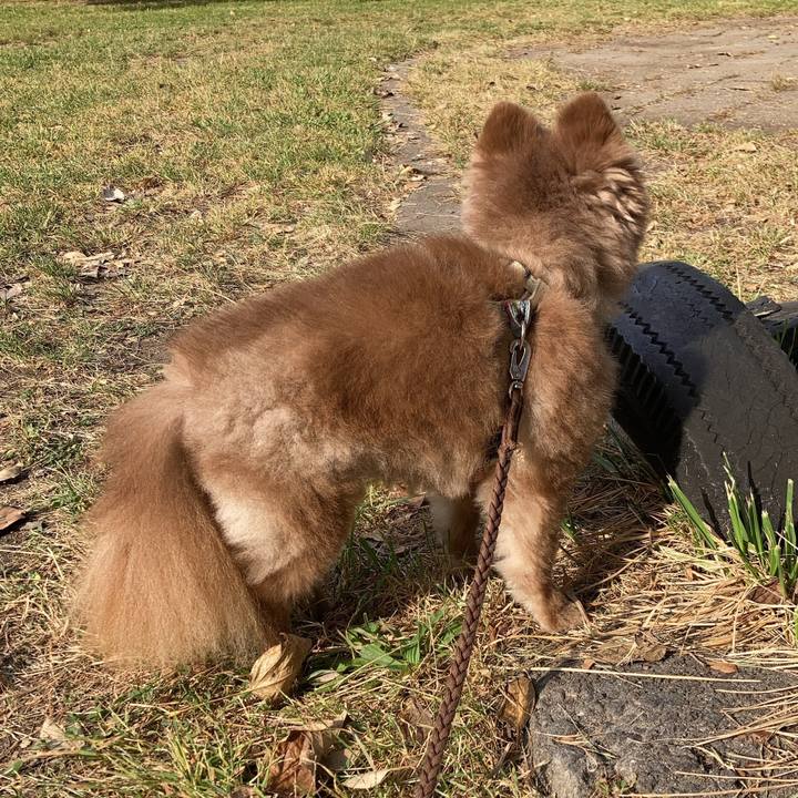 75c2bd1d 65c9 4f51 bdf6 5bfa2a03b266 1663392185201