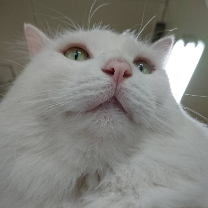 75c2ca86 a144 4ea7 a340 74b214dca80e 1533767232695