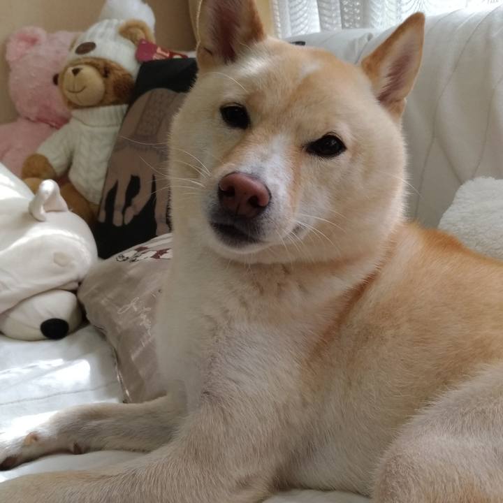 75c2d028 1edf 473d b190 ab15b36224fc 1569457567516