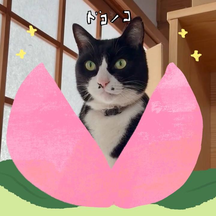 75c2efeb 25e2 4103 88a2 728ecc07807c 1771843461416