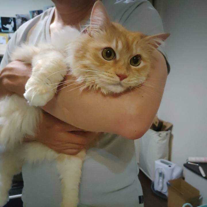 75c2fea6 bc8d 45ff ac37 98877bcbea49 1718109594549