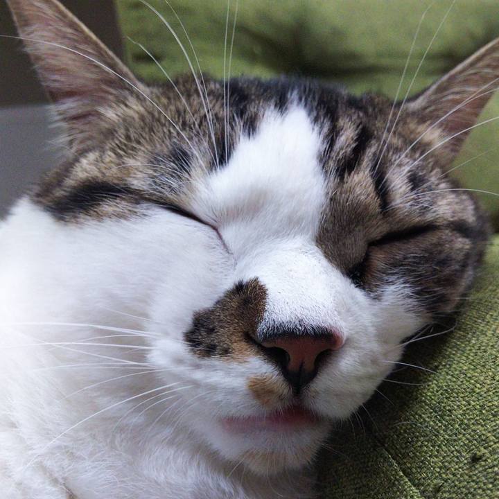 75c31b42 2668 4748 b2b5 07cb7af0fdb3 1636800758647