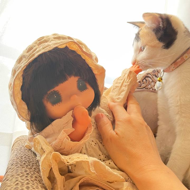 75c36936 a9aa 4d4d 8540 5ba3ff021fd7 1678141190334