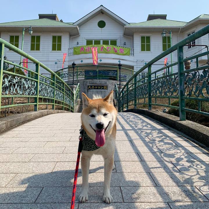 75c39919 90e8 4d41 b466 1f60af903868 1678351777823