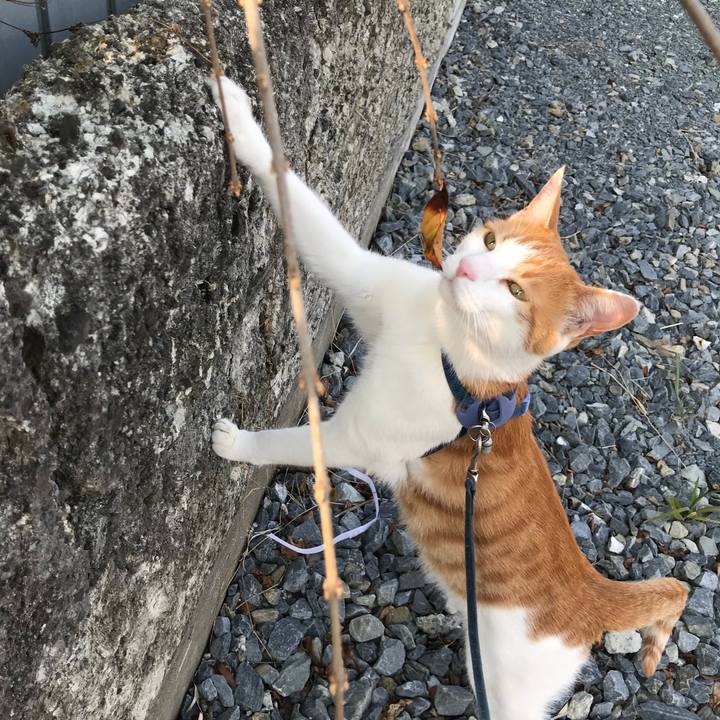 75c3a07b 1975 44c1 a54e 3e59412f3da4 1521006548348