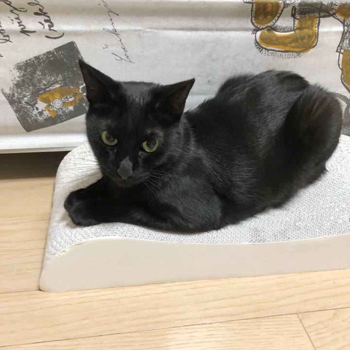 75c3cf8b 06b6 4845 987f c0180ab63f9f 1627561674218