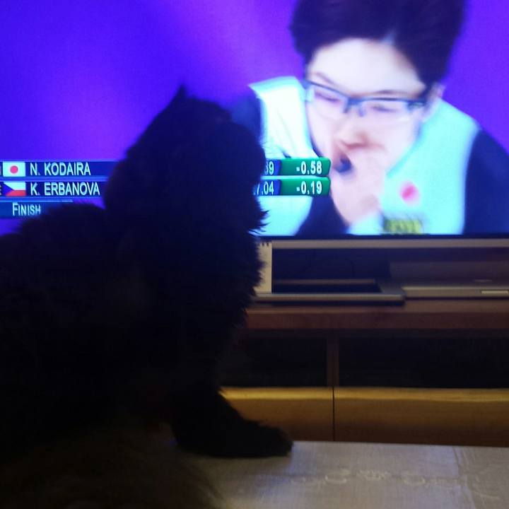 75c3d9d7 23d2 4b82 85f0 c6bd708468ad 1518959933510