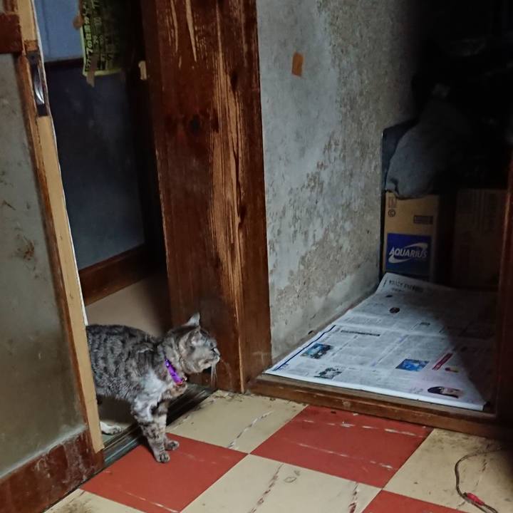 75c3ddf4 d647 4631 a87d 57291f8a4212 1594756649736