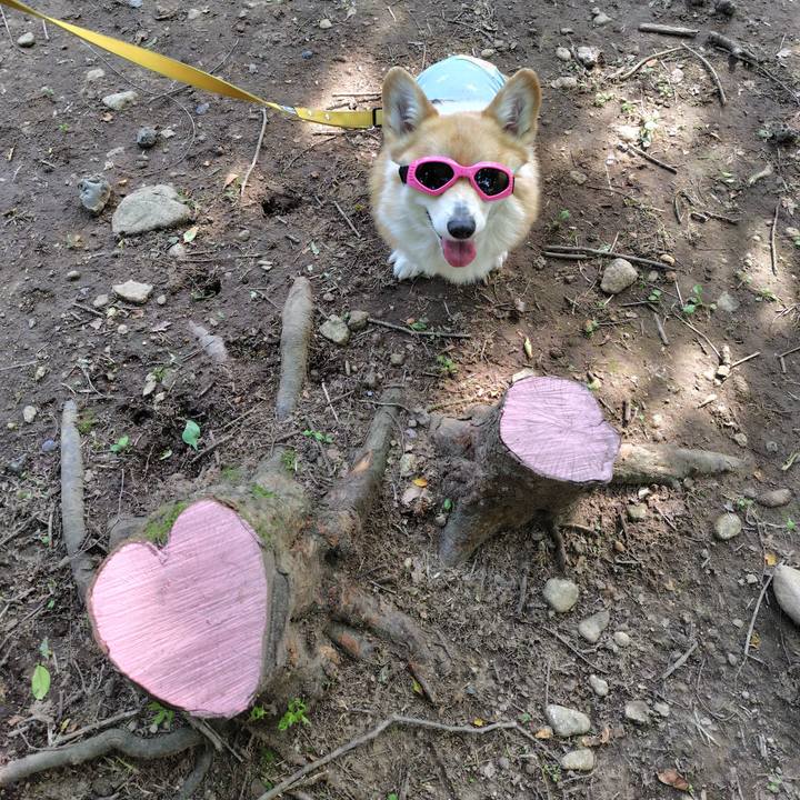 75c41713 d742 4f45 9103 767b86ee0788 1749479971984