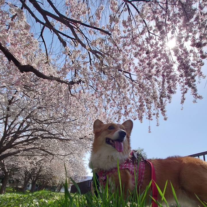 75c41bf2 6a3c 499f b78b 4ff4e442f6b9 1777195765699