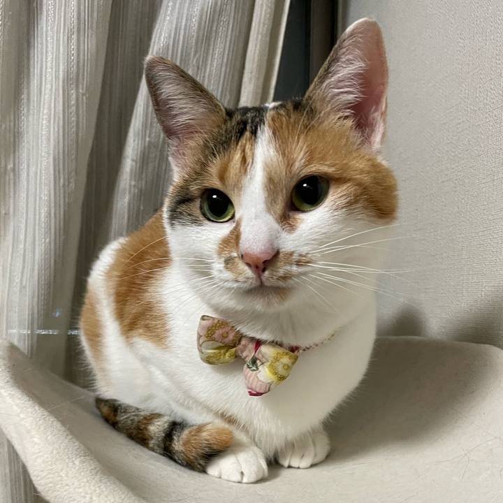 75c43bb2 3859 4906 bc12 f3830aeb4dbb 1637587893206